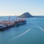 El puerto de Tauranga se reabre después de que un buque carguero de troncos perdiera la energía en la entrada del puerto
