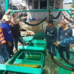 Vietnam: La Guardia Costera detiene un buque pesquero que transportaba 90.000 litros de fuel oil ilegal