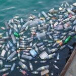 La industria naviera se compromete a eliminar los plásticos de un solo uso en 2021
