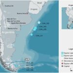 Shell se une a Equinor e YPF en el bloque de Argentina