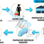 Guía de logística para la cadena de temperatura controlada – cosas que debes saber