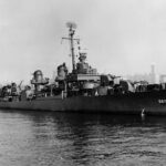 Ver: 80 años del «USS Johnston», el naufragio más profundo del mundo explorado
