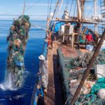 El velero Kwai limpia 96 toneladas de basura del Pacífico